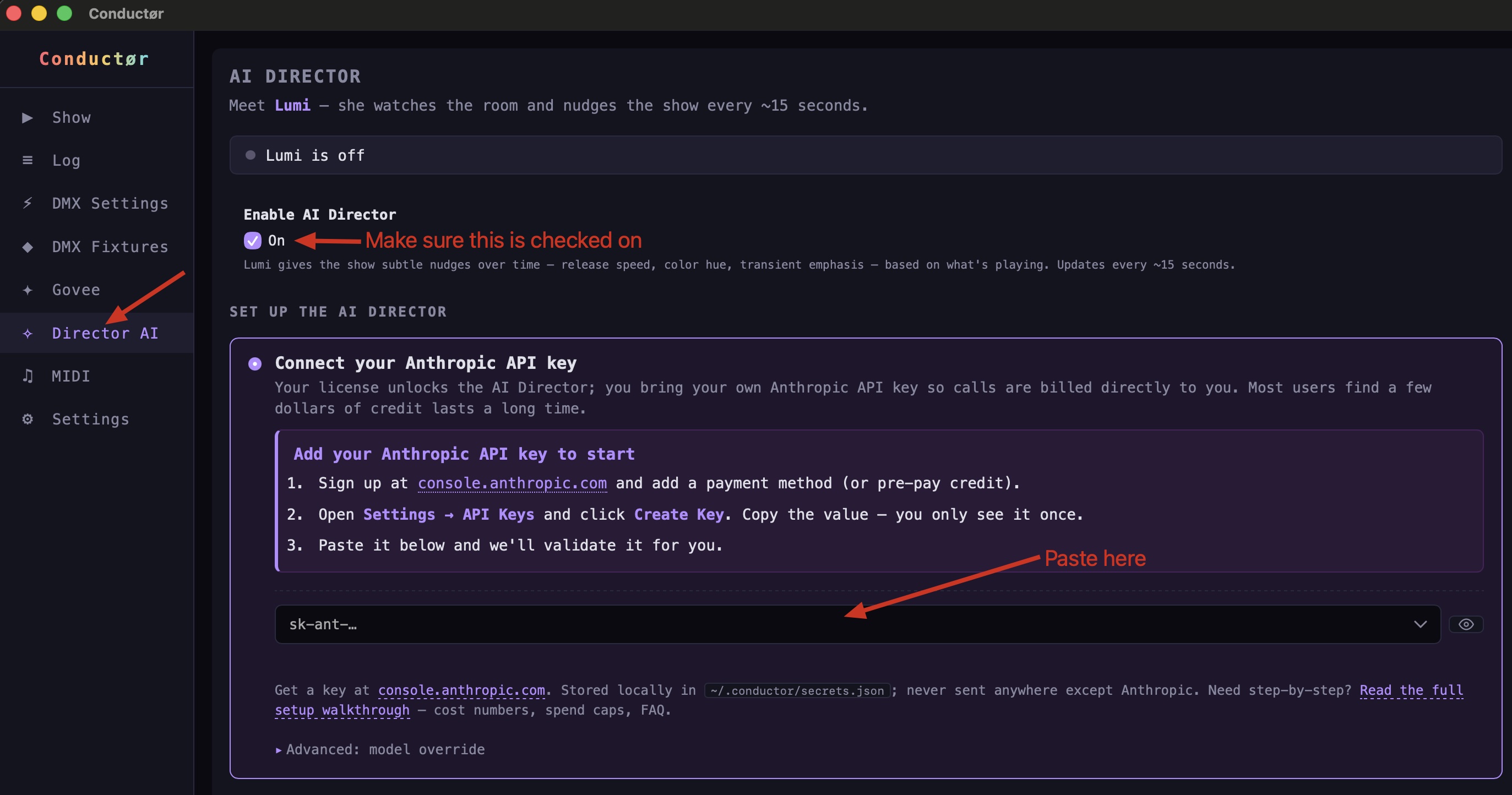 Conductør Settings Director tab with the API key input field